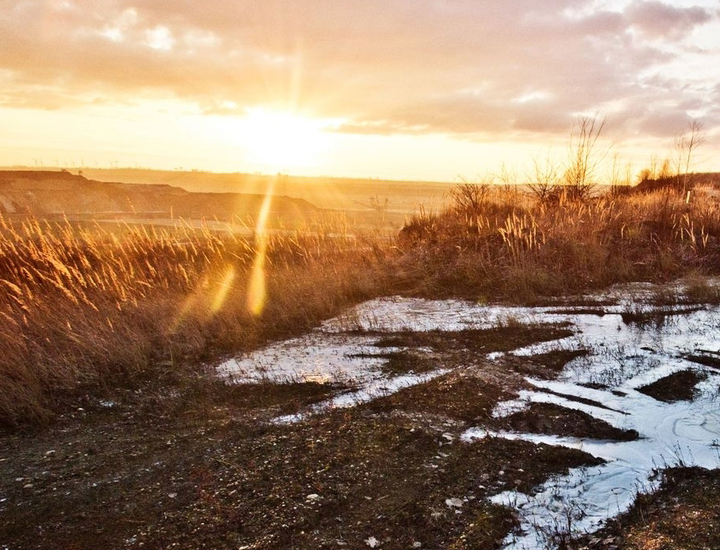 网络短信在线发送
