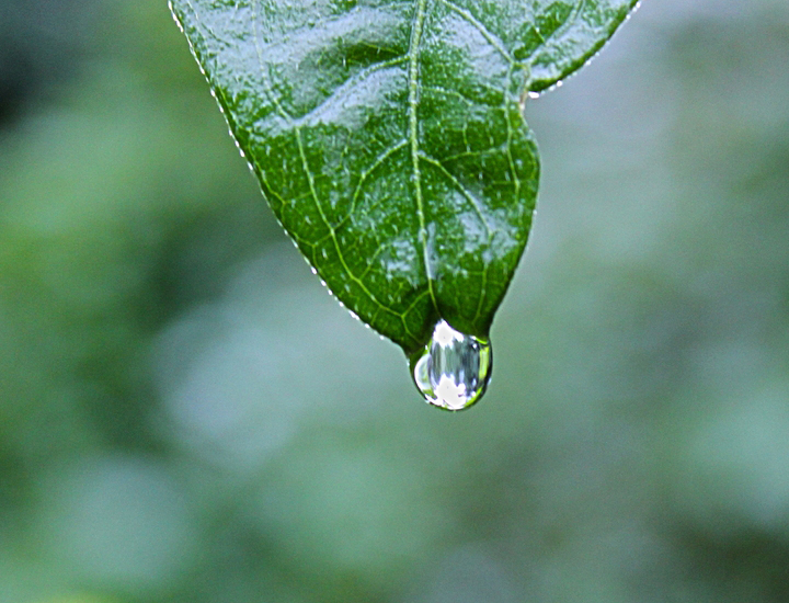 短信电话免费轰炸网站